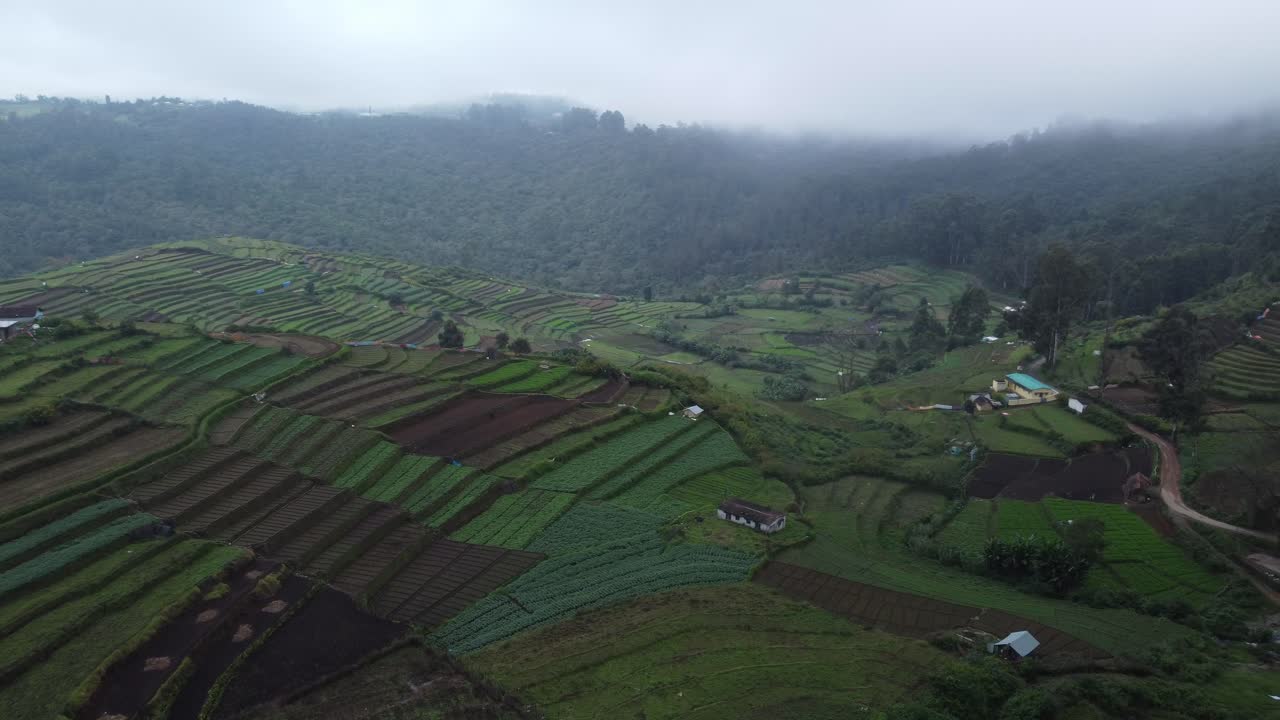 hermosa terraza de cultivo en el pueblo de kokkal, kodikanal, tamil nadu, india