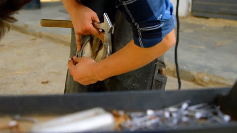 woman placing horseshoe nail 4k