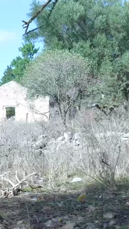 abandoned countryside house