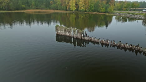 Rotten-Pillars-Over-Calm-Lake-With-Mirror-Reflections-In-Sweden