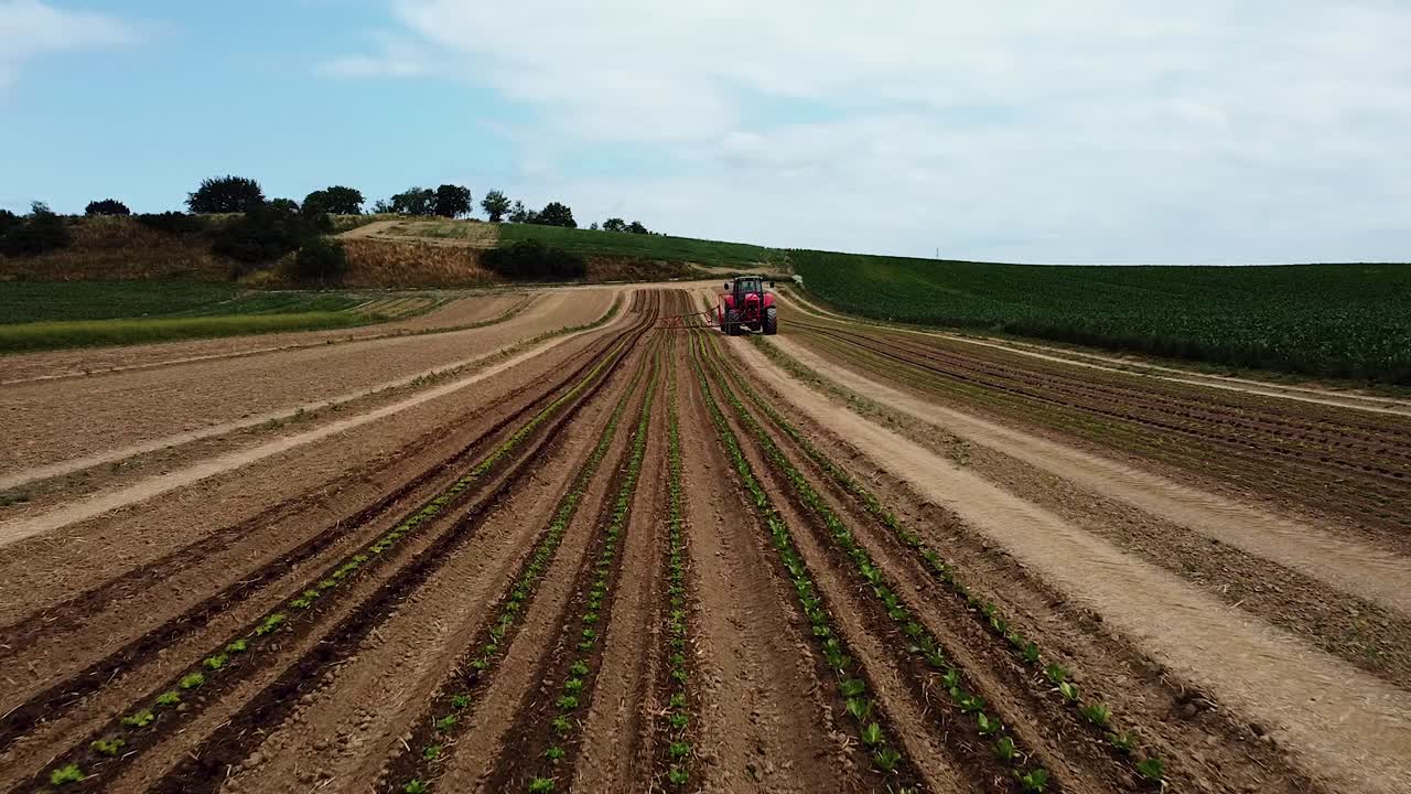vuelo de drones sobre plantas de lechuga jóvenes con unidades de tractor sobre el campo