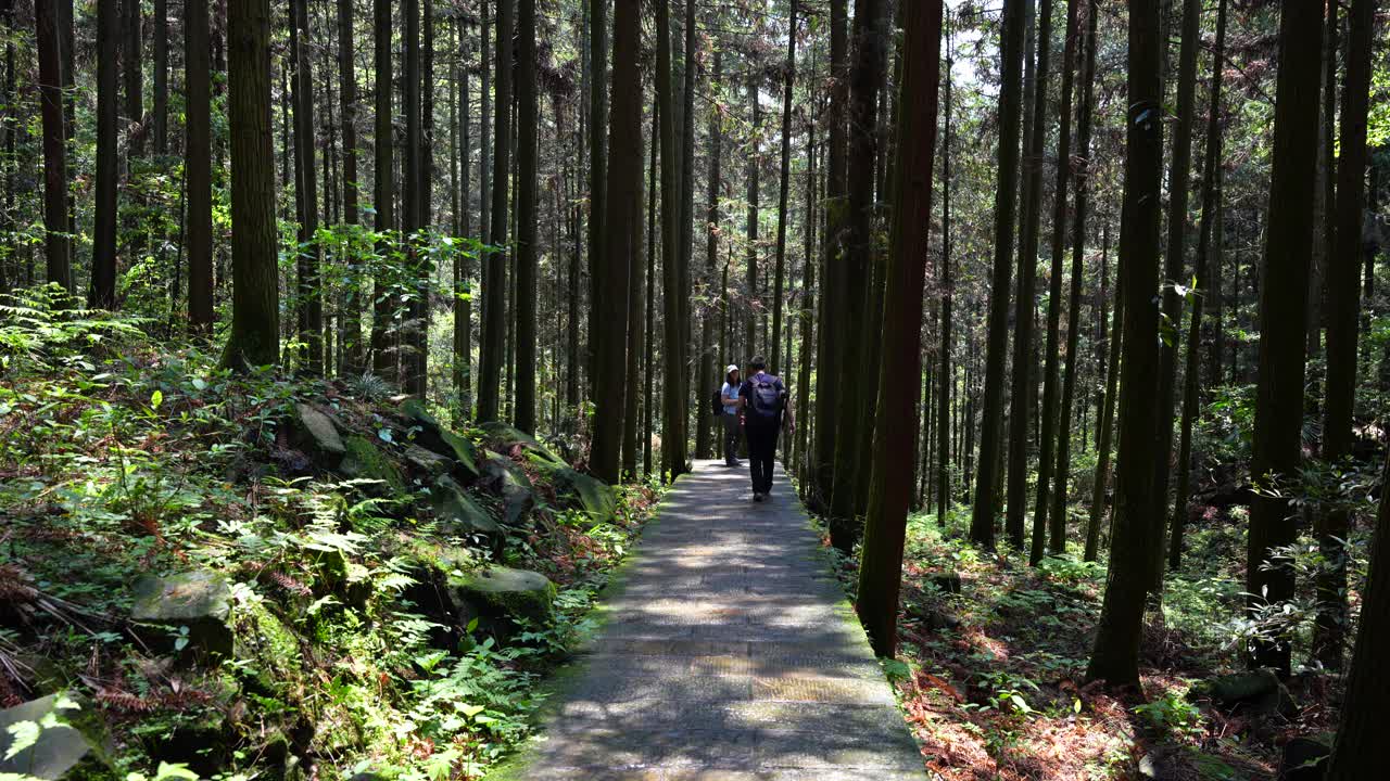 Man walking in a forest to reach her wife who is waiting for him, static
