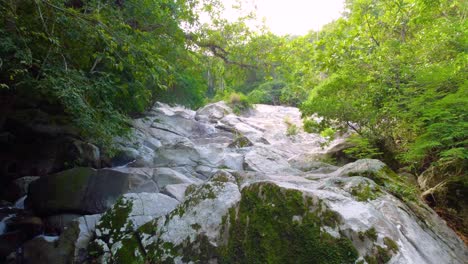 campo de piedras con una pequeña corriente de agua que fluye a través de las grietas