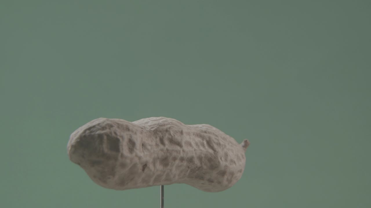 크로마 키를 위해 녹색 화면에 루프와 함께 땅콩 회전