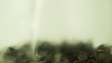 close-up of tea steeping