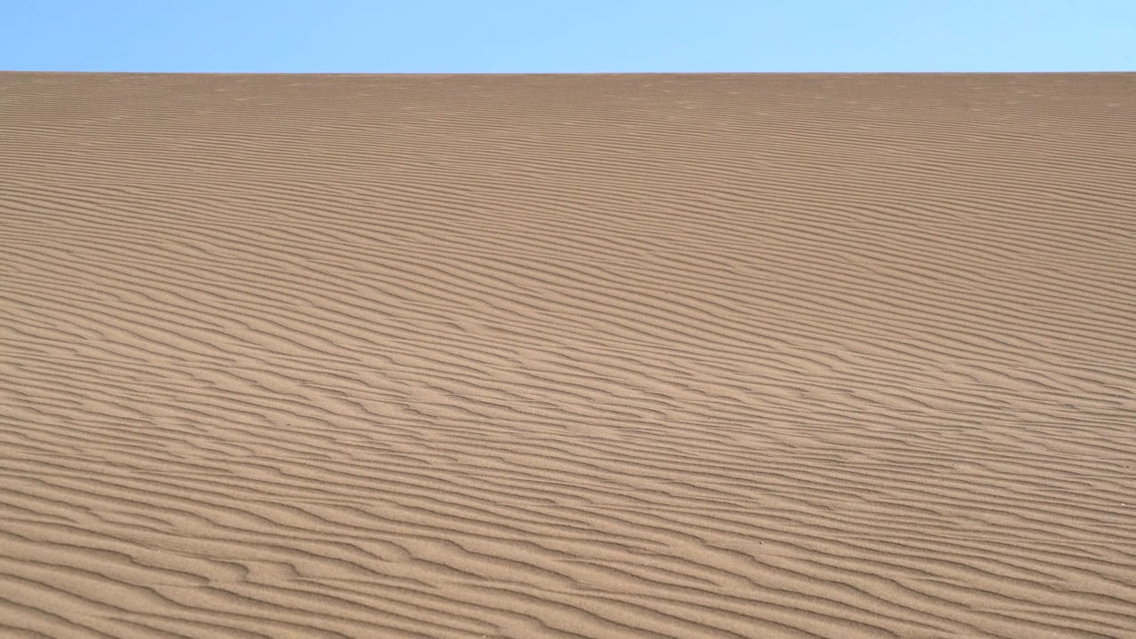 Dune di sabbia ondulate sotto un cielo azzurro sereno