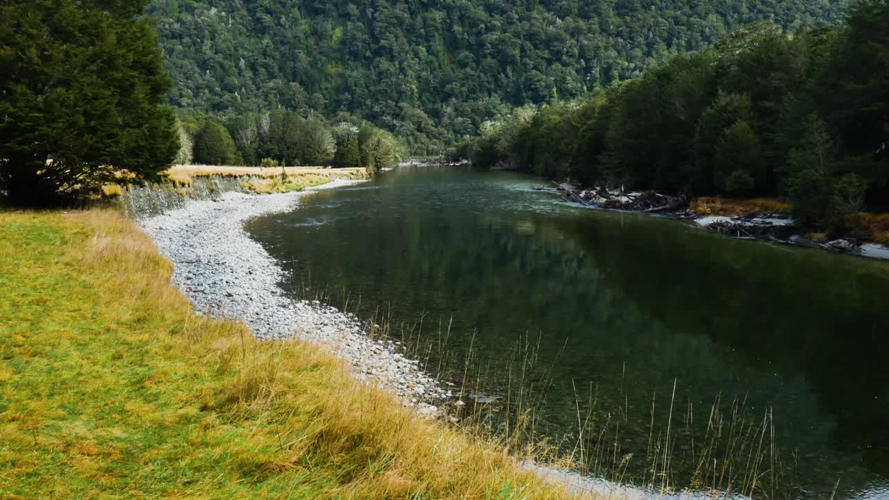 panning skud af smuk rolig naturlig sø på milford track omgivet af grøn vegetation