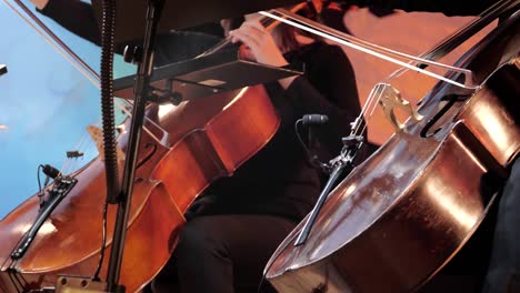 two cellists perform a concert on their cellos