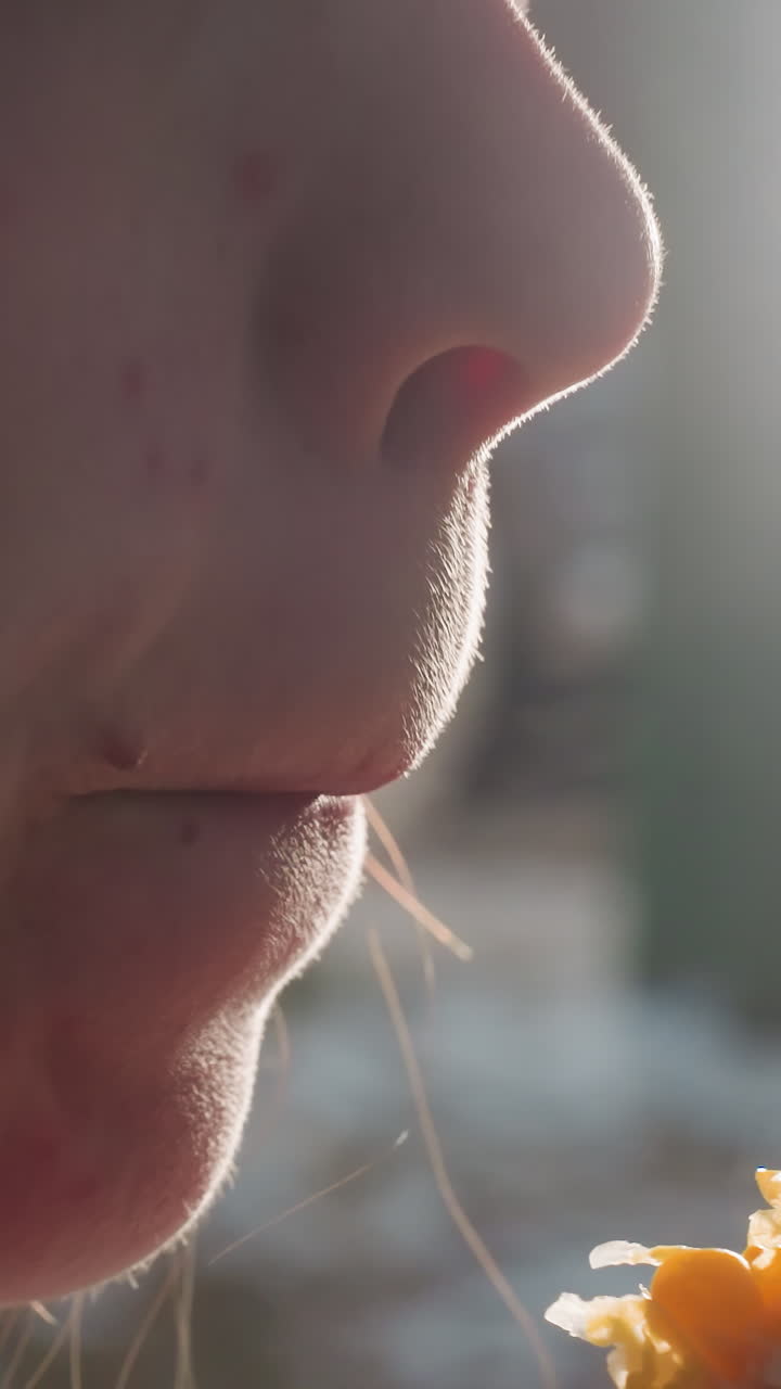 primer plano de una persona comiendo maíz sostenido por un palo envuelto en plástico blanco con luces bokeh en un fondo borroso, vapor que se eleva del maíz fresco, disfrutando de un sabroso bocadillo al aire libre