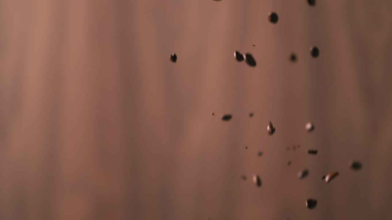 스튜디오의 배경 앞에 떨어지는 커피 콩