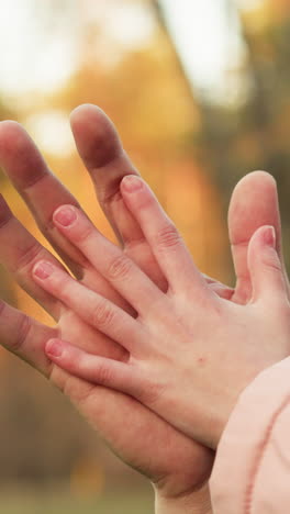 un momento tierno e íntimo capturado en un primer plano donde la mano de un niño se extiende para tocar la mano de una persona adulta, en un telón de fondo borroso de otoño con la cálida luz del sol