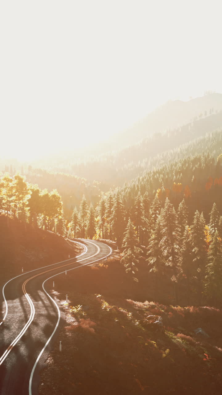 carretera pintoresca sinuosa a través de un bosque al atardecer
