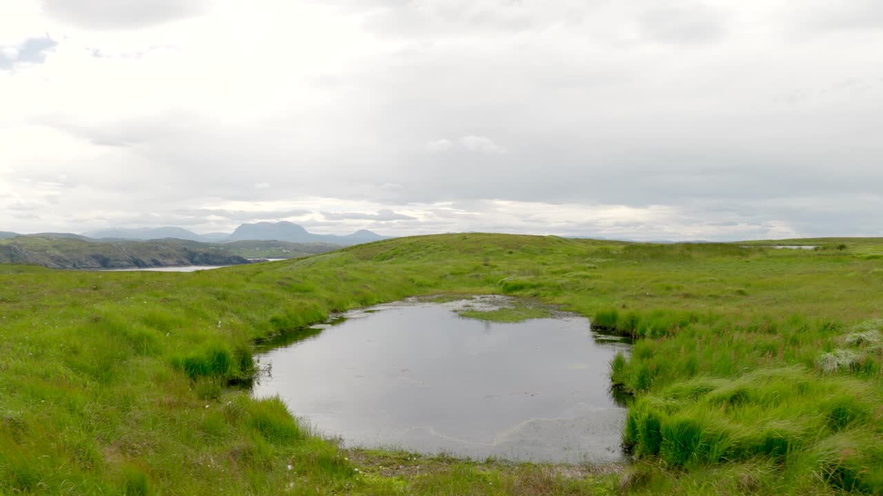 la hierba alta, exuberante y verde autóctona se mueve con el viento mientras una cámara que se desplaza lentamente revela un pequeño lago de agua dulce