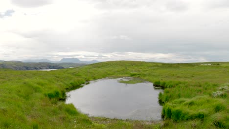 Hohes,-üppiges,-Einheimisches-Grünes-Gras-Weht-Im-Wind,-Während-Eine-Langsam-Schwenkende-Kamera-Einen-Kleinen-Süßwassersee-Enthüllt