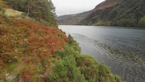 Vorwärts-Fliegen-über-Einen-See-In-Irland