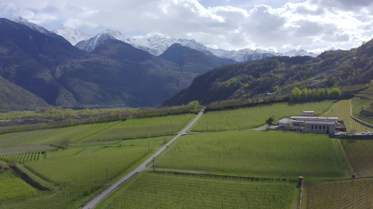 imágenes aéreas del cultivo de diferentes especies de plantas en las montañas de valtellina, italia