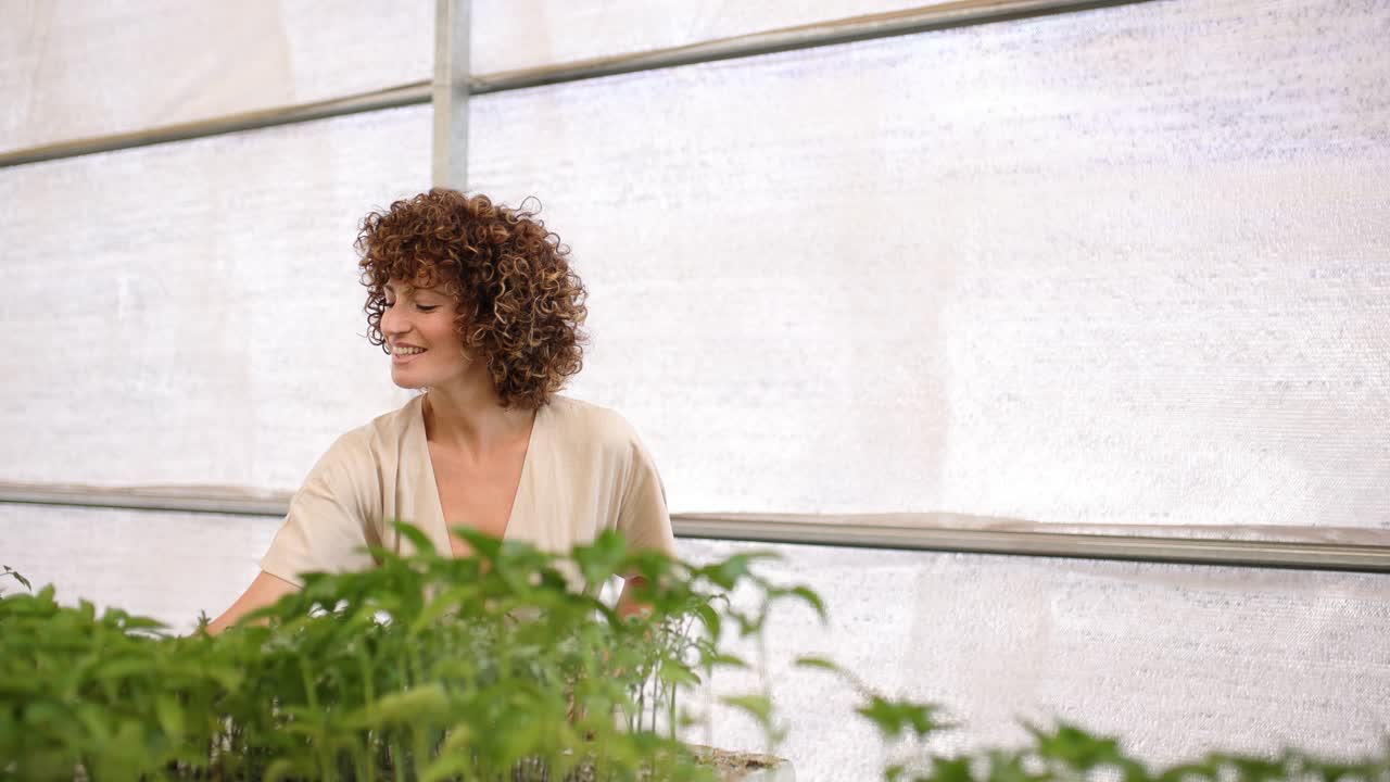 Curly haired woman observing seedlings in indoor greenhouse