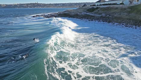 panning drone shot showing horizonlline of wave breaking while sea lions play and surf during king tide in la jolla, california