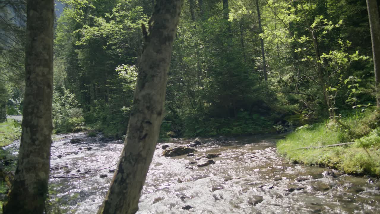 scenic forest stream movimiento de izquierda a derecha | grindelwald suiza cueva en el cañón del glaciar, europa, 4k