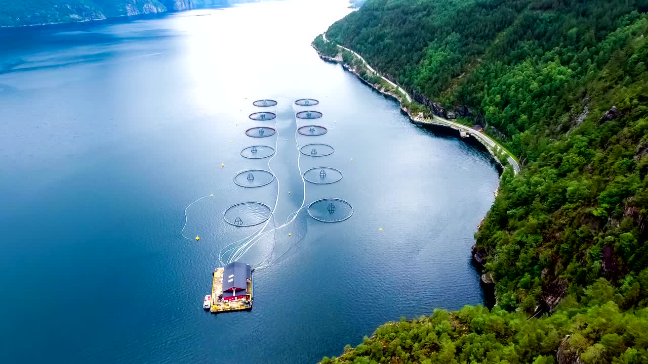 노르웨이에서 연어  ⁇ 시를 하는 공중 촬영