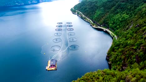 imágenes aéreas de granjas de pesca de salmón en noruega