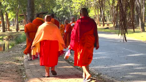 monks strolling through a serene park path