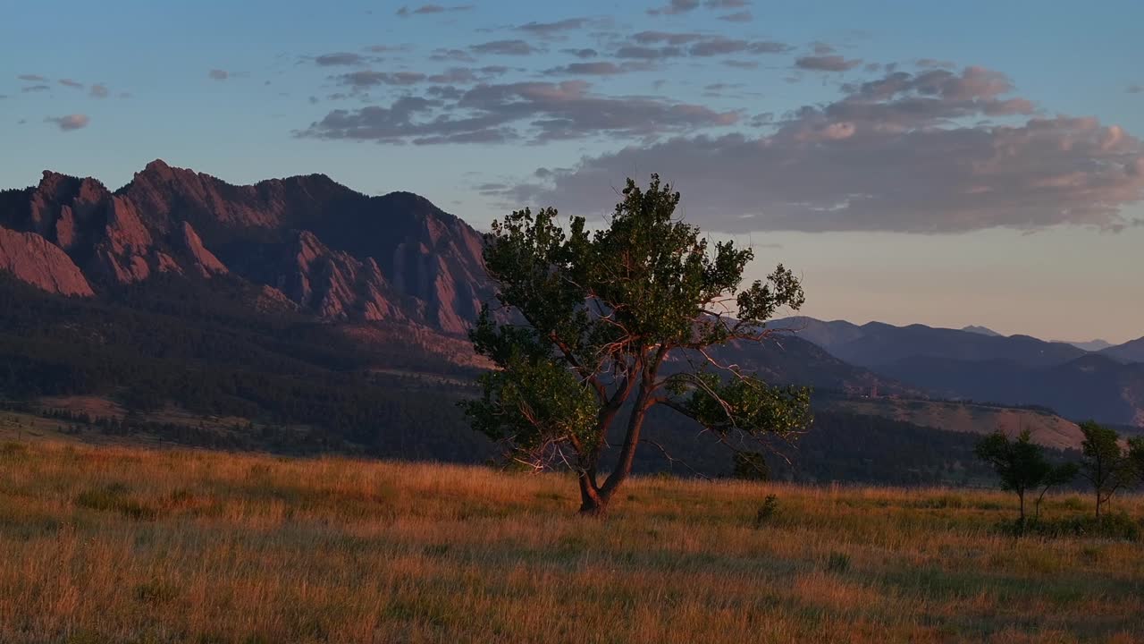 Tree Greenbelt Plateau Flatirons Front Range Boulder Creek Eldorado Canyon Chautauqua Park morning sunrise aerial drone Colorado summer first light Rocky Mountains Pikes Peak circle right parallax