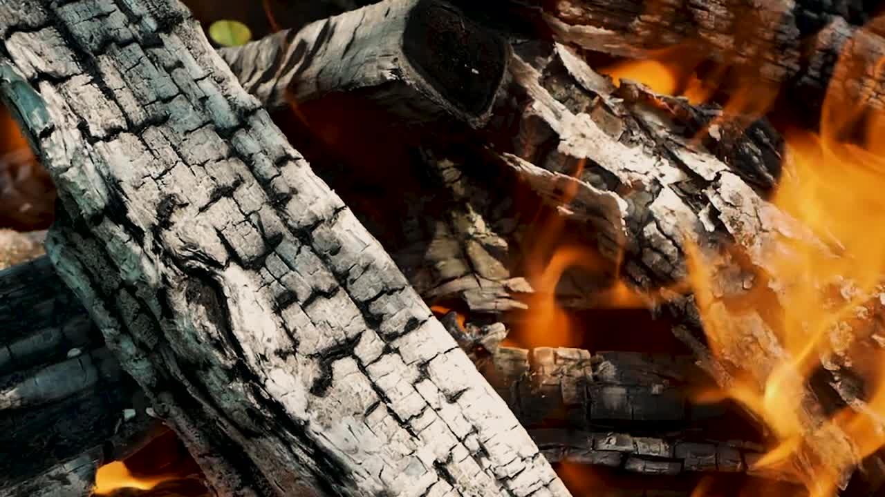 Fuoco sulla legna, legna tagliata che brucia in un camino in pietra. Un falò. Fiamma arancione che brucia sulla legna