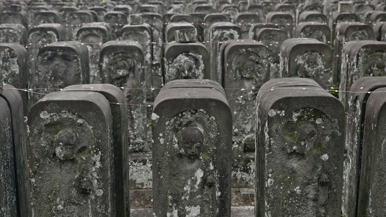 Snesevis af mosbegroede buddhistiske stenfigurer står i tætte, ensartede rækker, deres overflader er eroderede og plettet af alder. De dystre gråtoner og den gentagne komposition fremkalder åndelig højtidelighed.