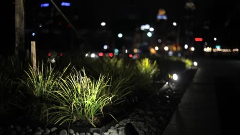 Planted-flora-blowing-in-the-wind,-cityspace-at-night-with-traffic-lights