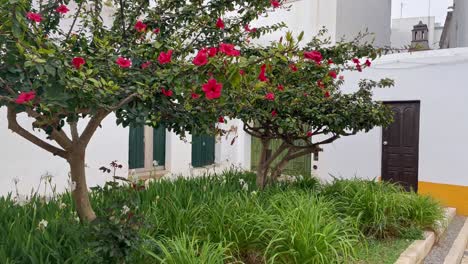 Dringend-Benötigter-Sanfter-Regen-An-Einer-Farbenfrohen-Straßenecke-An-Der-Algarve-In-Portugal