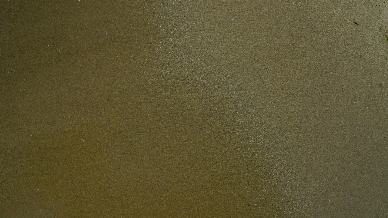 vista de la orilla del mar, espuma del agua vertida en la arena, arena y agua en la costa