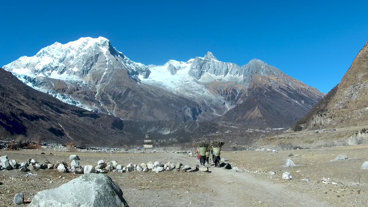 Lifestyle of Sherpa Women in Remote Himalayan Regions. Sherpa women walk along Nubri valley carrying basket full of logs back to the village from forest for livestock and firewoods