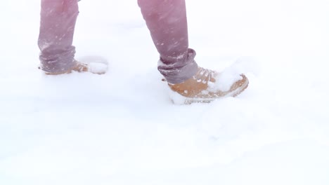 person walking in snow
