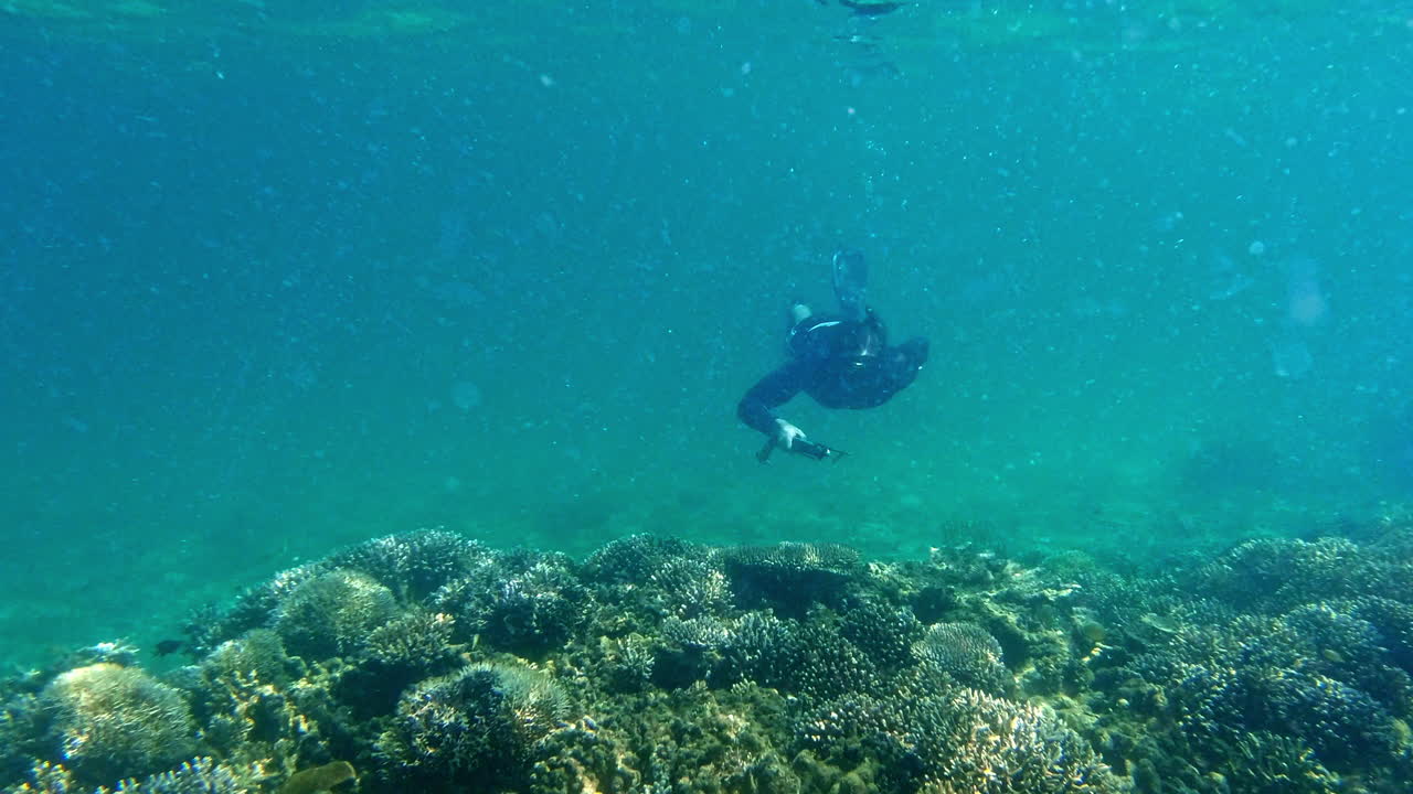 cómo obtiene su dosis diaria de vitamina mar