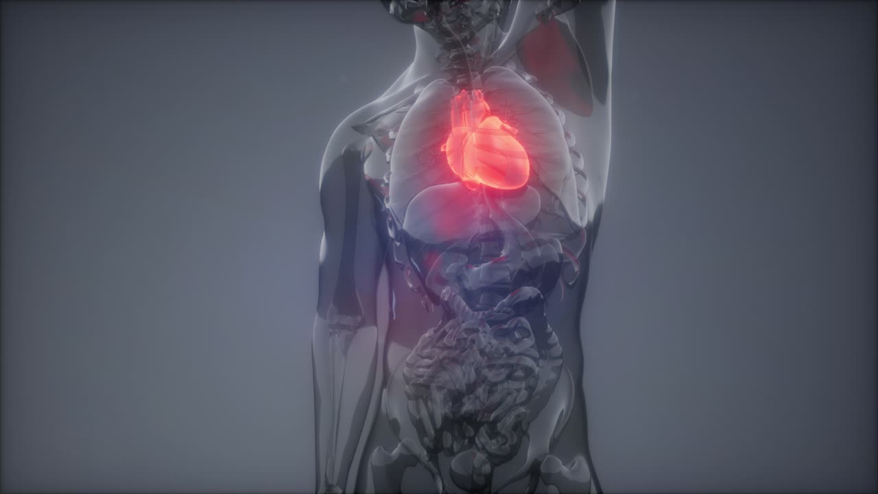 examen de radiología del corazón humano