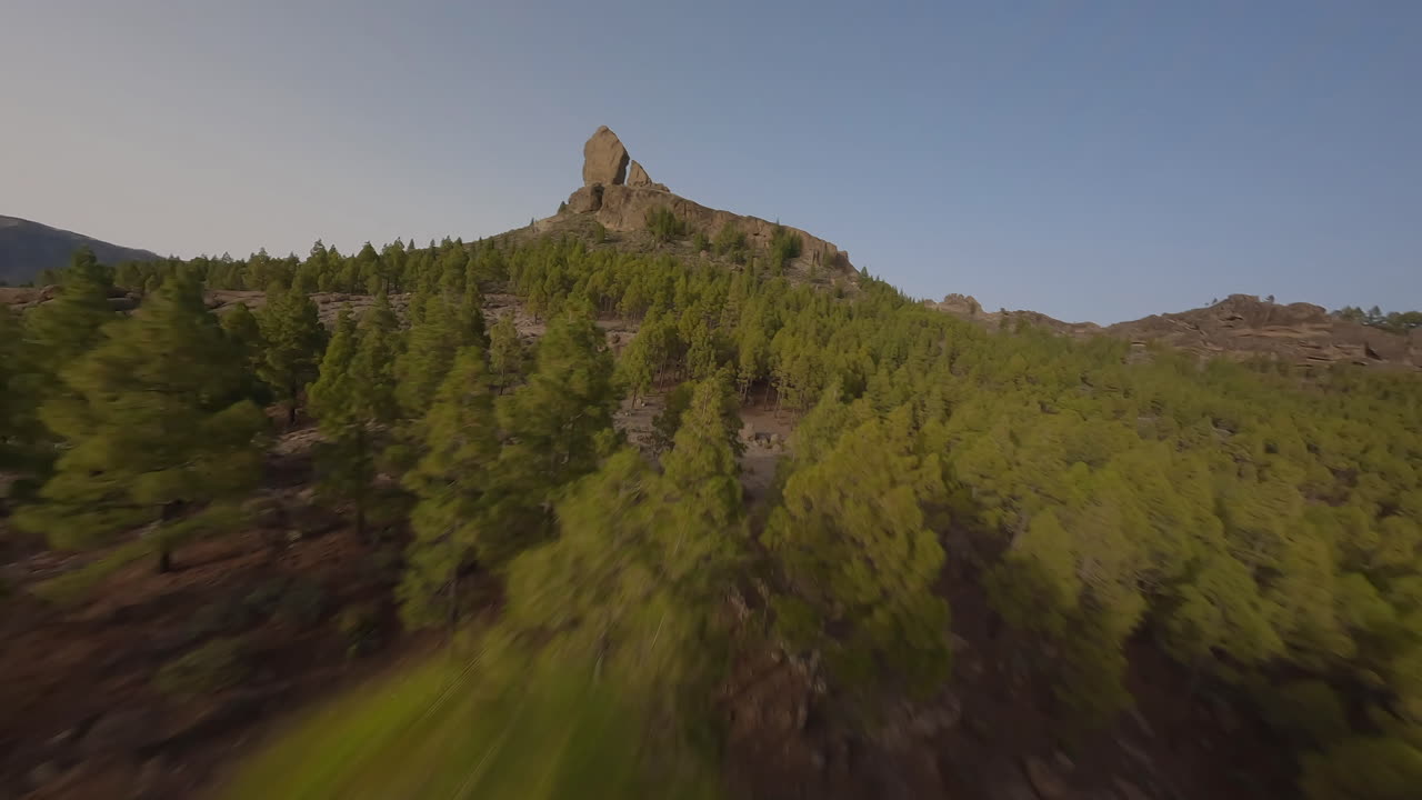 Volo FPV ravvicinato attraverso gli alberi boscosi di Roque Nublo verso la vetta della montagna, Gran Canaria
