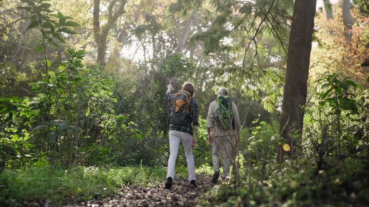 Gente haciendo senderismo por un bosque frondoso