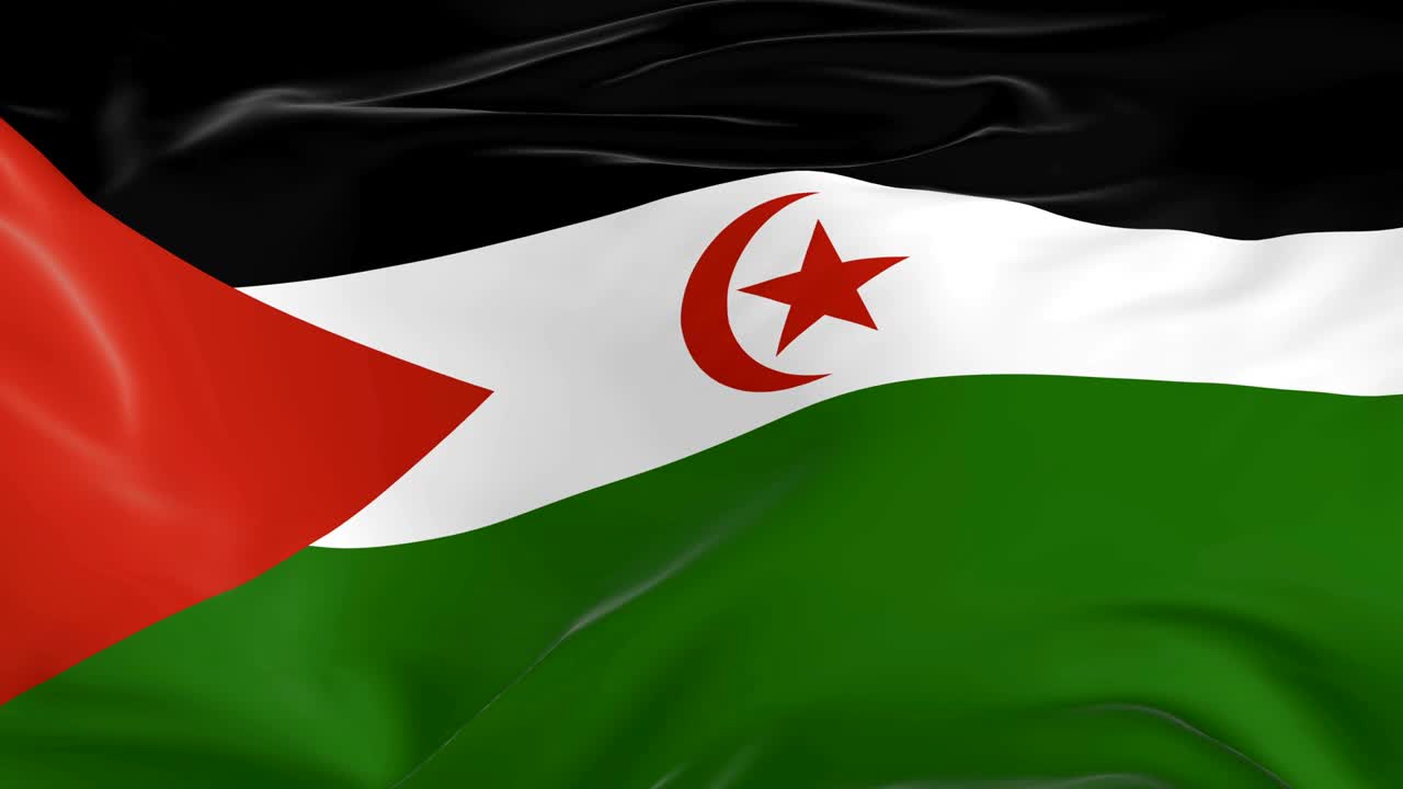 waving  looped flag as  background Western Sahara