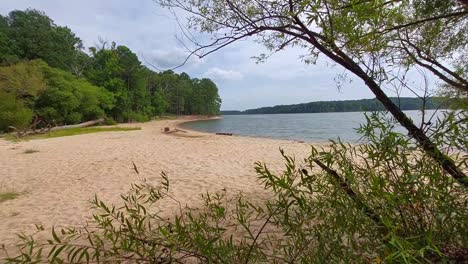 Deserted-beachfront-at-the-at-Ebenezer-Church-Day-Use-Area-of-Jordan-Lake-State-Recreation-Area