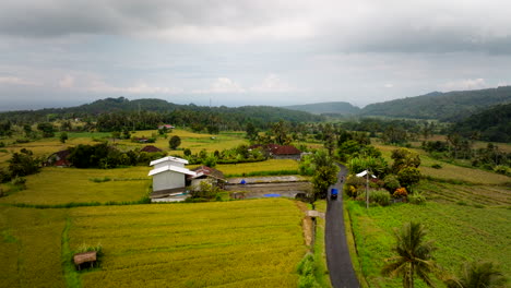 ruta de asfalto a través de campos de arroz con casas rurales típicas en un día nublado en bali, indonesia