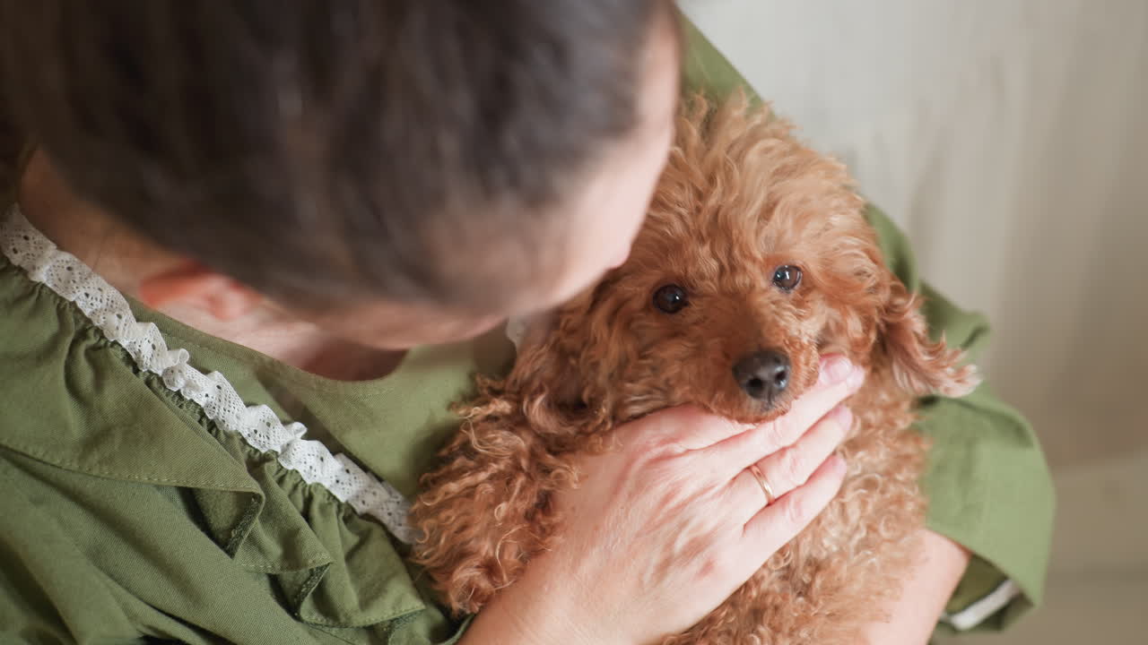 Overhead view of woman in green dress affectionately engaging with fluffy brown puppy as she touches its neck trying to catch attention while puppy turns head and gazes up in response