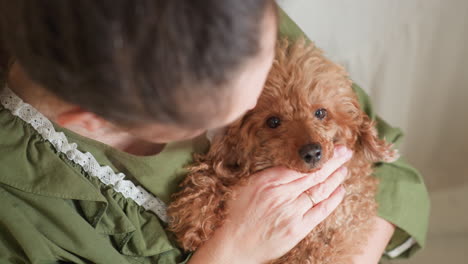 overhead view of woman in green dress affectionately engaging with fluffy brown puppy as she touches its neck trying to catch attention while puppy turns head and gazes up in response