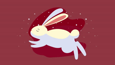 cute rabbit jumping animal character