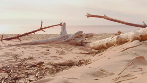 Jogger-Femenino-En-Chándal-Rosa-Corriendo-En-Las-Dunas,-Vista-Estática-De-ángulo-Bajo