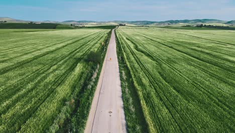aerial view of a lone road cutting through vast, vibrant green agricultural fields.