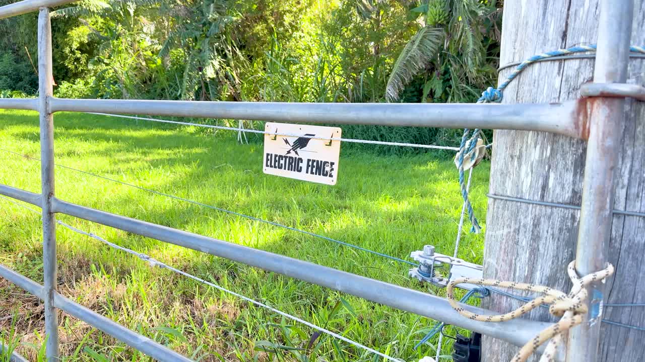 A stationary shot of a metal gate with an electric fence warning sign, set in a sunlit grassy field with trees in the background