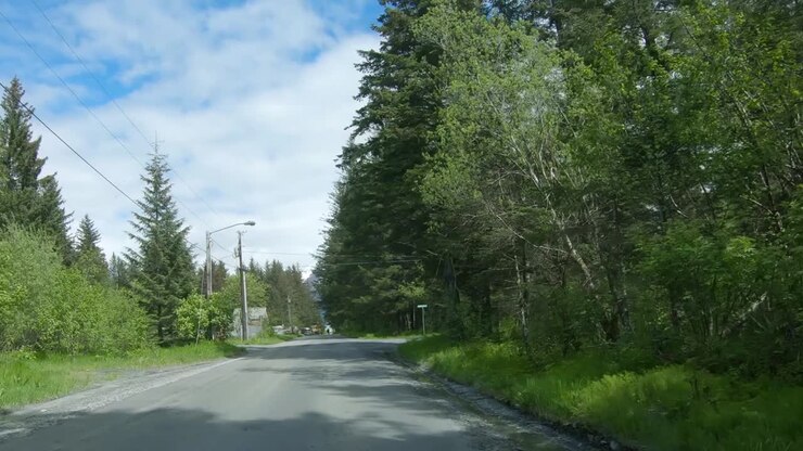 Looking out the back of the car while driving by trees and Spruce Creek at Resurrection Bay on Lowell Point