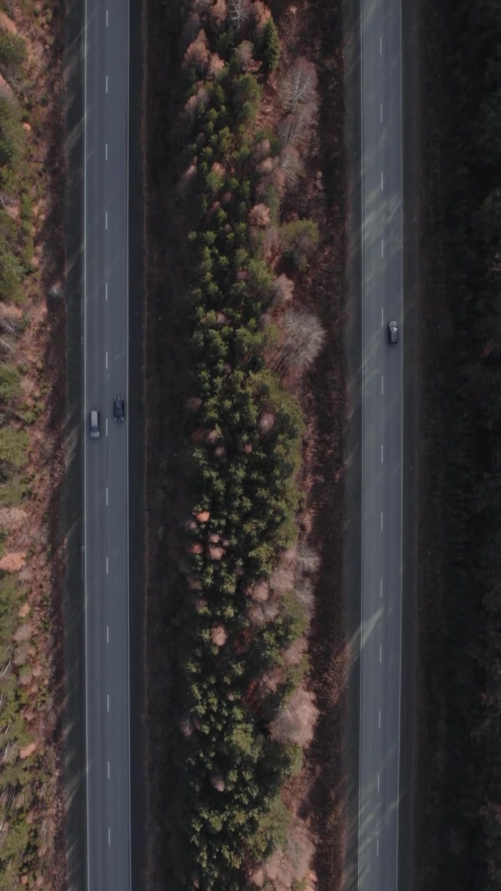 Filmato aereo con drone di un'autostrada divisa che attraversa una foresta mista con colori autunnali, con alcune auto che viaggiano in direzioni opposte, concetto di trasporto e viaggio
