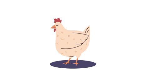 hen animal farm character animation